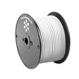 Pacer White 10 AWG Primary Wire (20') boat wire