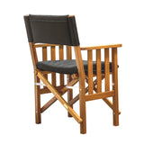 Whitecap Directors Chair II with Black Cushion (Teak)